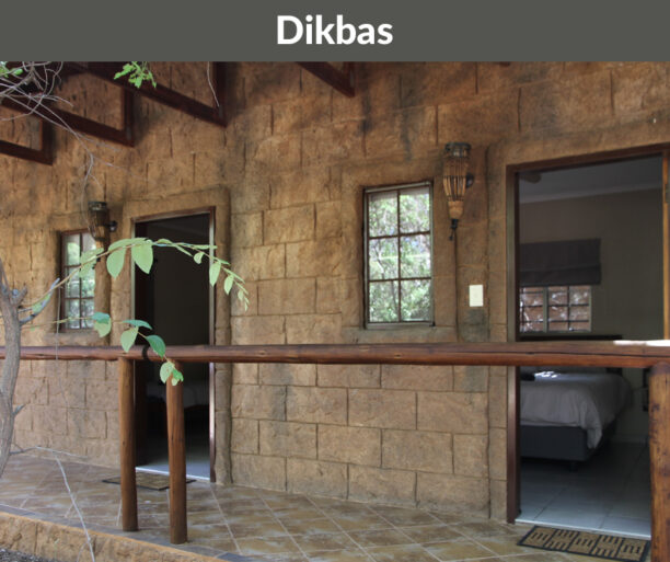 Rotsinbos-Dikblas-Bush-Chalets-Accommodation-Gallery-1