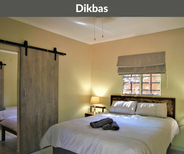 Rotsinbos-Dikblas-Bush-Chalets-Accommodation-Gallery-2