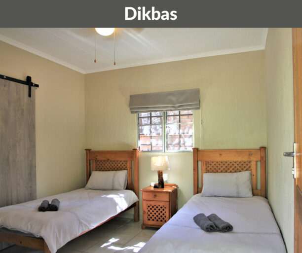 Rotsinbos-Dikblas-Bush-Chalets-Accommodation-Gallery-3