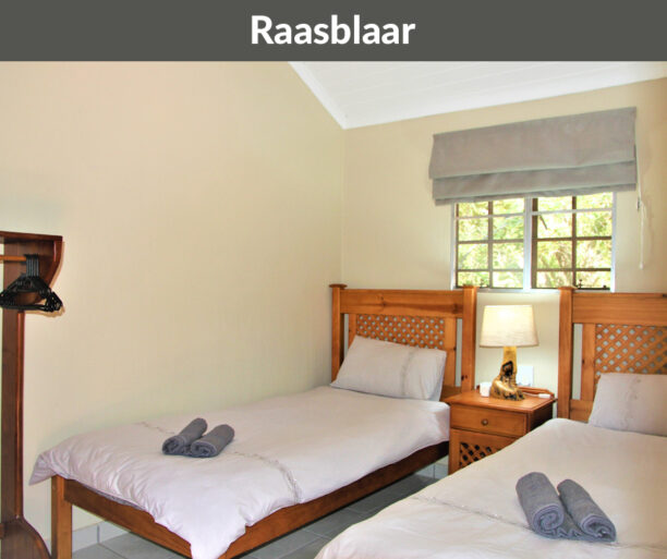 Rotsinbos-Raasblaar-Bush-Chalets-Accommodation-Gallery-4