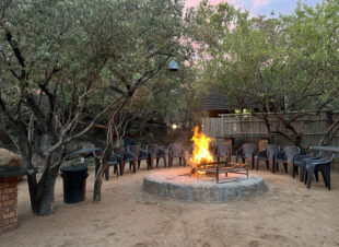 Rotsinbos-Bush-Camp-and-Lodge-Gallery-13