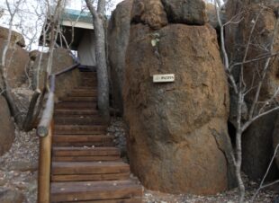 Rotsinbos-Bush-Camp-and-Lodge-Gallery-17