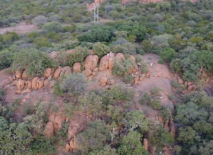 Rotsinbos-Bush-Camp-and-Lodge-Gallery-43