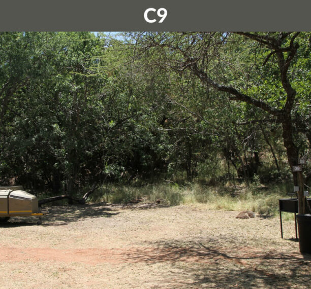Rotsinbos-Bush-Camp-and-Lodge-Private-Ablution-Campsites-Gallery-10