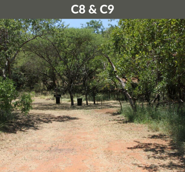 Rotsinbos-Bush-Camp-and-Lodge-Private-Ablution-Campsites-Gallery-11