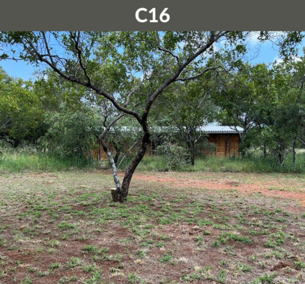 Rotsinbos-Bush-Camp-and-Lodge-Private-Ablution-Campsites-Gallery-20
