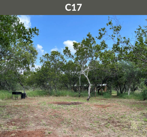 Rotsinbos-Bush-Camp-and-Lodge-Private-Ablution-Campsites-Gallery-22