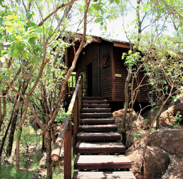 Rotsinbos-Reier-Timber-Chalet-Accommodation-Gallery-1