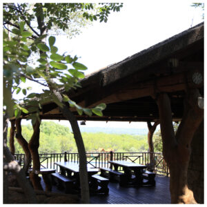 Rotsinbos-Bush-Lodge-and-Camp-Lodge-Deck-Gallery-4