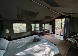 Rotsinbos-Bush-Camp-and-Lodge-Gallery-23