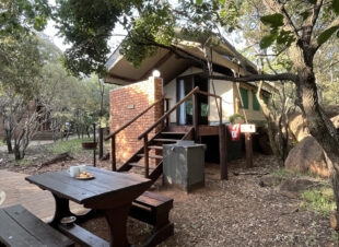 Rotsinbos-Bush-Camp-and-Lodge-Gallery-7