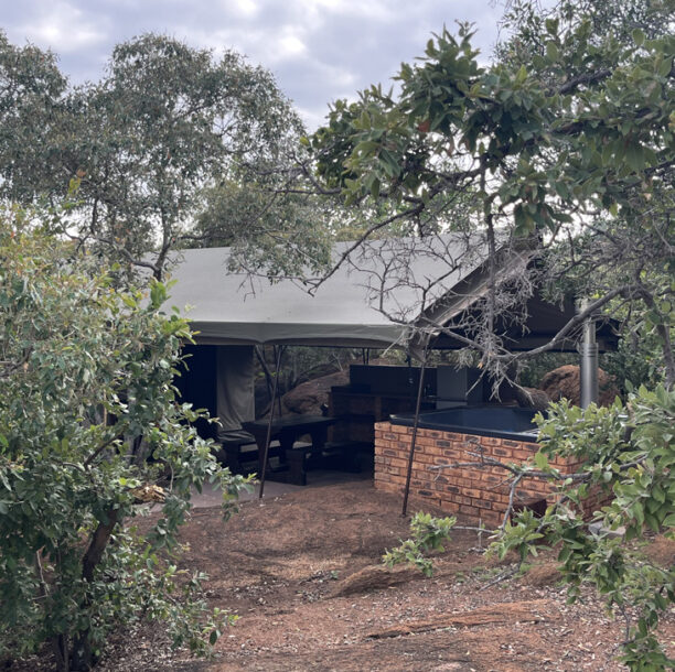 Rotsinbos-Patrys-Tent-Accommodation-Gallery-9