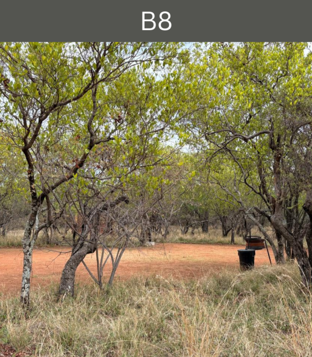 B8Campsite